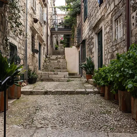 Taura Dubrovnik