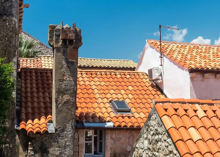 Taura * ドゥブロブニク